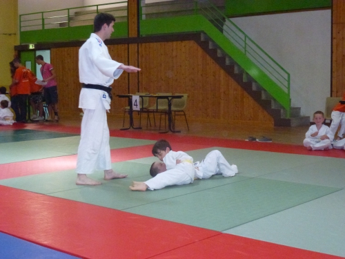 judo, marcassin