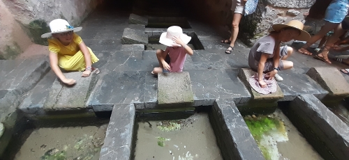 20250826_152542.jpg